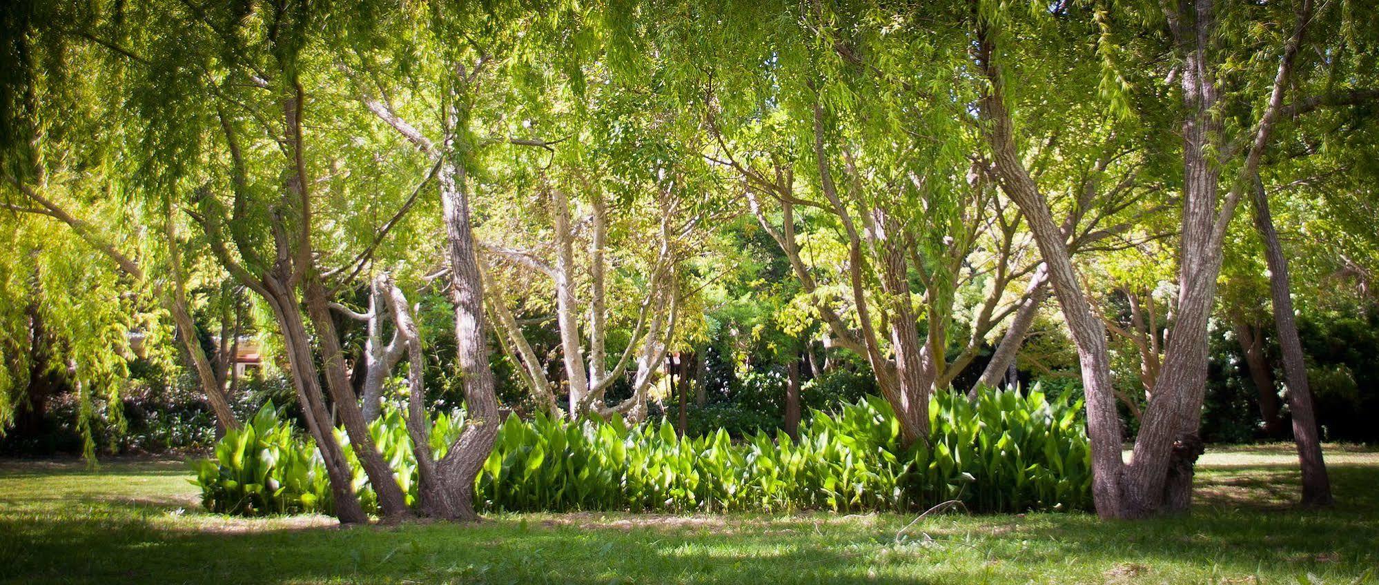 Willowbrook Country House Cape Town Eksteriør bilde